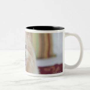 Tasse 2 Couleurs Chien de Pomeranian dans la chambre d'hôtel