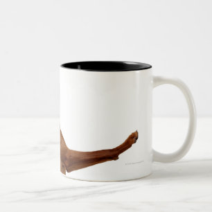 Tasse 2 Couleurs Chien de Vizsla