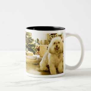 Tasse 2 Couleurs chien posant devant l'arbre de Noël