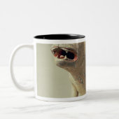 Tasse 2 Couleurs Chien posé par poterie chinoise tôt, tombe (Gauche)