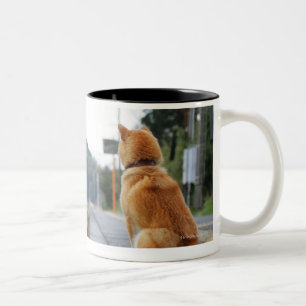 Tasse 2 Couleurs Chien se reposant sur la station de train