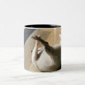 Tasse 2 Couleurs Chien se trouvant sur le plancher (Centre)