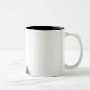 Tasse 2 Couleurs Chien sur le blanc 104