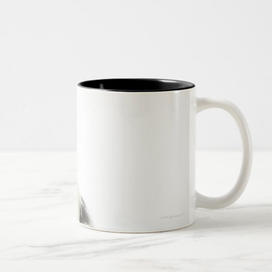 Tasse 2 Couleurs Chien sur le blanc 104 (Droit)