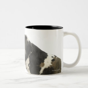 Tasse 2 Couleurs Chien sur le blanc 11