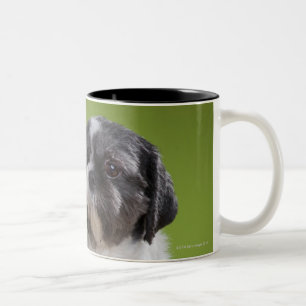 Tasse 2 Couleurs Chien sur une colonne