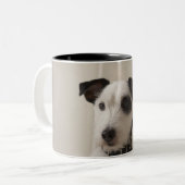 Tasse 2 Couleurs Chien terrier de Jack Russell (Devant gauche)