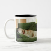 Tasse 2 Couleurs Chiens dormant sur le sofa (Gauche)
