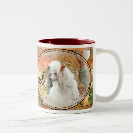 Tasse 2 Couleurs Chinois arrêté (Droit)
