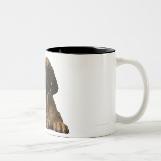 Tasse 2 Couleurs Chiot (Droit)