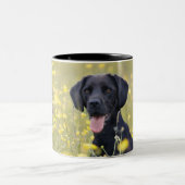 Tasse 2 Couleurs Chiot 16 mois 2 (Centre)