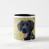 Tasse 2 Couleurs Chiot 16 mois 2 (Centre)