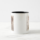 Tasse 2 Couleurs Chiot 2 de beagle (Centre)