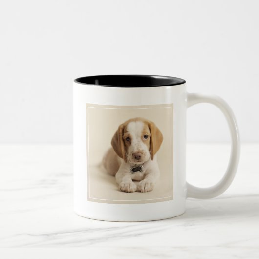 Tasse 2 Couleurs Chiot de beagle (Droit)