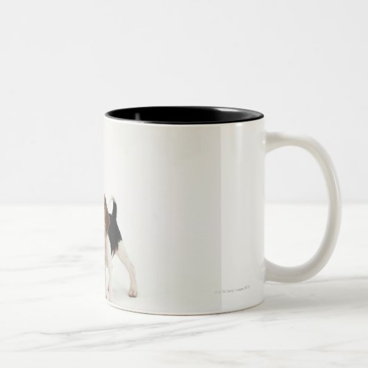 Tasse 2 Couleurs Chiot de beagle (Droit)