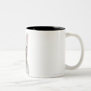 Tasse 2 Couleurs Chiot de bouledogue français (5 mois)