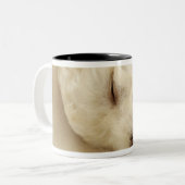 Tasse 2 Couleurs Chiot de caniche de sommeil (Devant gauche)