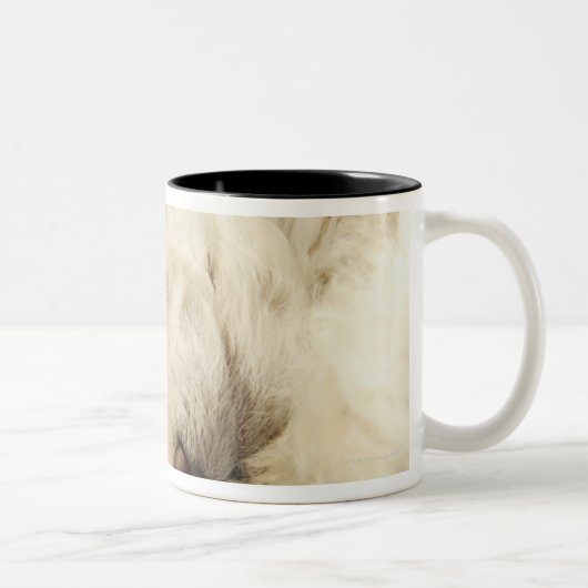 Tasse 2 Couleurs Chiot de caniche de sommeil (Droit)