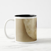 Tasse 2 Couleurs Chiot de caniche de sommeil (Gauche)