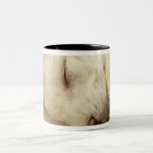 Tasse 2 Couleurs Chiot de caniche de sommeil (Centre)