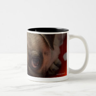 Tasse 2 Couleurs Chiot de carlin se trouvant sur le lit, fin