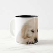 Tasse 2 Couleurs Chiot de golden retriever (Devant gauche)