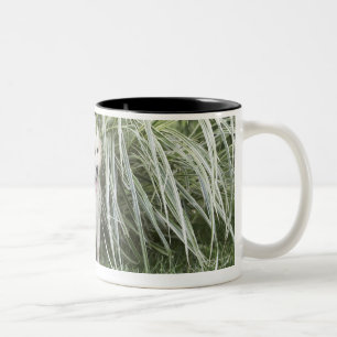 Tasse 2 Couleurs Chiot de Goldendoodle se reposant sous les herbes