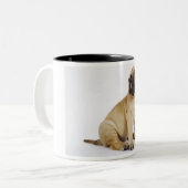 Tasse 2 Couleurs Chiot de great dane se reposant dans le studio (Devant gauche)