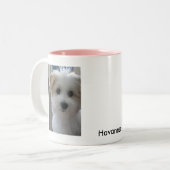 Tasse 2 Couleurs Chiot de Havanese (Devant gauche)