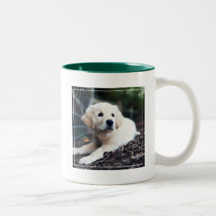 Tasse 2 Couleurs Chiot de Labrador jouant dans le jardin
