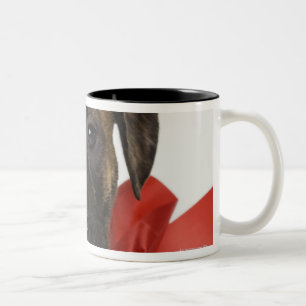 Tasse 2 Couleurs Chiot de Pitbull portant le ruban rouge