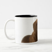 Tasse 2 Couleurs Chiot de quatre mois de laboratoire de chocolat (Gauche)