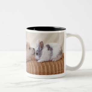 Tasse 2 Couleurs Chiot et lapin