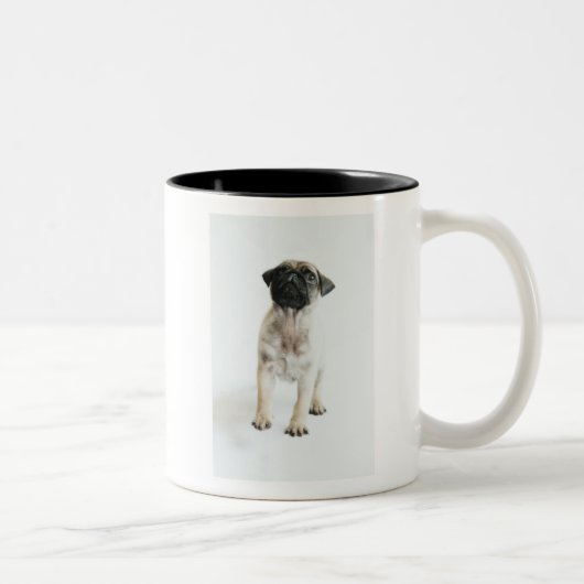 Tasse 2 Couleurs Chiot mignon de carlin (Droit)