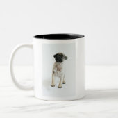 Tasse 2 Couleurs Chiot mignon de carlin (Gauche)