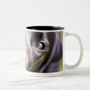 Tasse 2 Couleurs Chiot noir de Labrador regardant vers le haut,