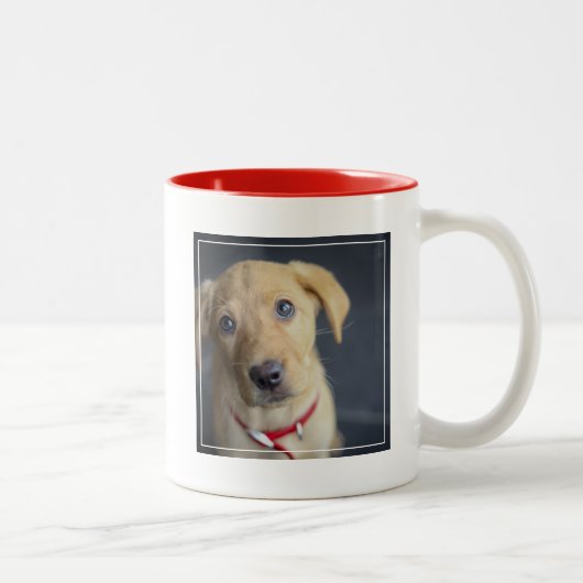 Tasse 2 Couleurs Chiot rouge de Fox Labrador (Droit)