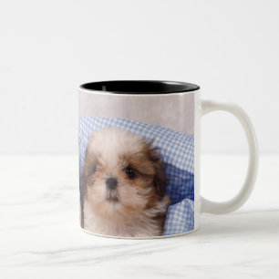 Tasse 2 Couleurs Chiots de Shih Tzu sous une couverture vérifiée