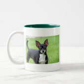 Tasse 2 Couleurs Chiwawa Isabella -13 (Gauche)