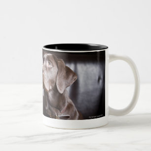 Tasse 2 Couleurs Chocolat labrador retriever