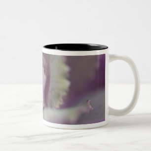 Tasse 2 Couleurs Chou décoratif