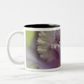 Tasse 2 Couleurs Chou décoratif (Gauche)