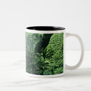 Tasse 2 Couleurs Chutes de Hanakapiai le long de la côte Na Pali, K