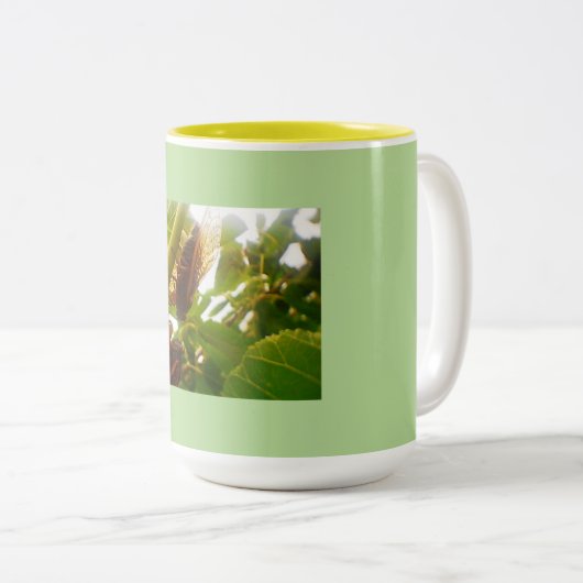 Tasse 2 Couleurs Cicada (Devant droit)