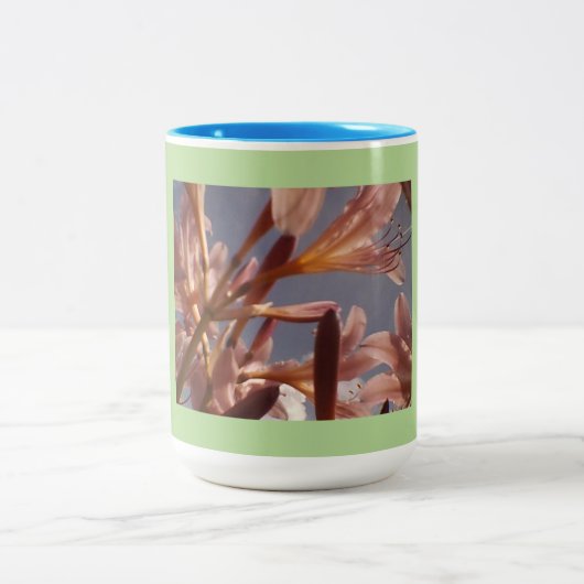 Tasse 2 Couleurs Ciel bleu rose Lily (Centre)
