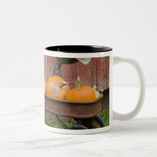 Tasse 2 Couleurs Citrouilles dans un vieux chariot