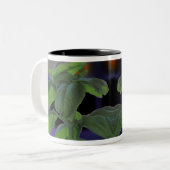 Tasse 2 Couleurs Closeup de Basil frais (Devant gauche)