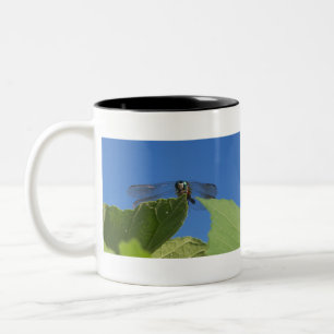 Tasse 2 Couleurs Closeuse d'une libellule contre un ciel bleu vif