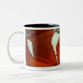 Tasse 2 Couleurs Clownfish 2 (Gauche)