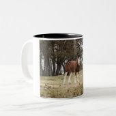 Tasse 2 Couleurs Clydesdale (Devant gauche)
